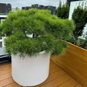 biała matowa okrągła donica 60x60 cm na taras